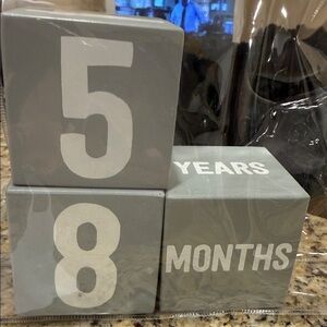 Gray Baby Milestone Blocks